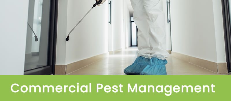 Melbourne Commercial Pest Management 